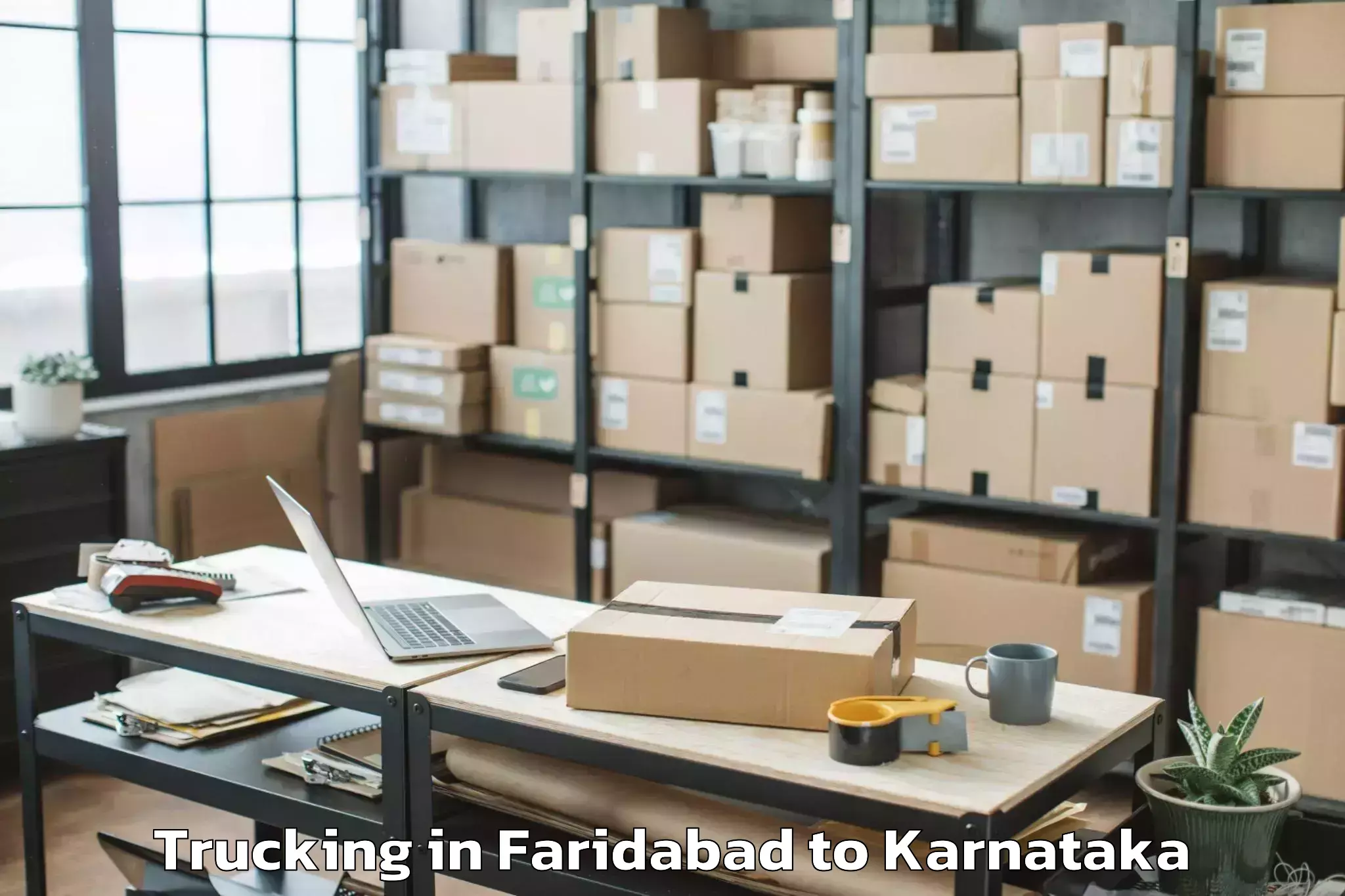 Faridabad to Peddamandyam Trucking Booking